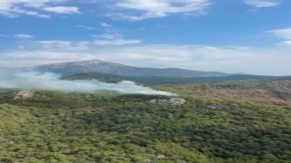 Kemerde orman yangını