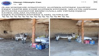 Kırsal mahalledeki başıboş eşek merak konusu