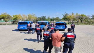 Köpekleri dövüştürüp sosyal medyada paylaştılar, jandarma ekiplerince operasyonla yakalandılar