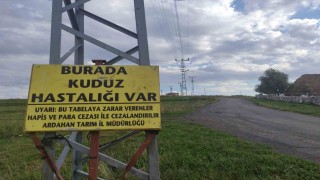 Kuduz nedeniyle mahalleye giriş çıkışlar yasaklandı