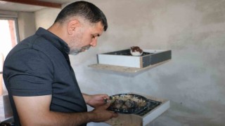 Küllerinden doğan güvercin oteli yeniden kapılarını açtı