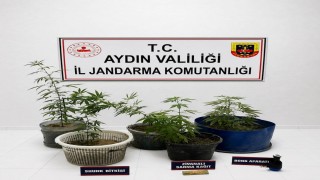 Kuşadasındaki uyuşturucu operasyonunda 3 şüpheli gözaltına alındı