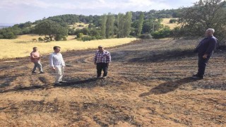Kütahya Mustafalar köyünde yangın sonrası zarar gören alanlarda hasar tespit çalışması
