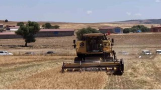 Kütahyada 18 farklı nohut çeşidi aynı tarlada tanıtıldı