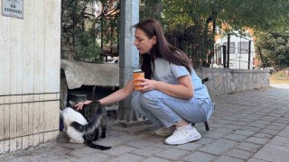 Kütahyada kedi vahşeti: Başını ve ayaklarını kesip apartmanın önüne bıraktılar