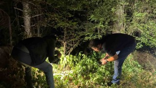 Kütahyada ormanlık alanda silahlı yaralama: 1 kişi yakalandı