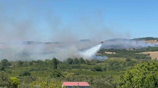 Lapsekide tarım arazisindeki yangına müdahale devam ediyor
