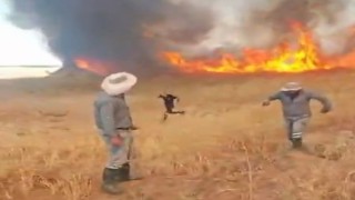 Malatyada korkutan anız yangını