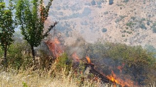Malatyada meyve bahçesi ve üzüm bağlarında yangın
