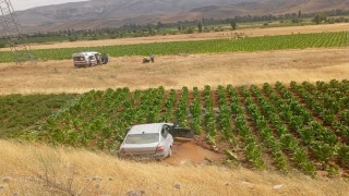 Malatyada otomobil tütün tarlasına düştü: 3 yaralı