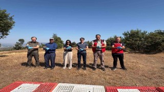 Manisa Gördeste ekolojik denge için doğaya 500 keklik bırakıldı