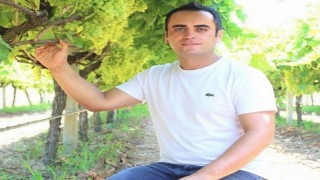 Manisada üzüm için Altın Model