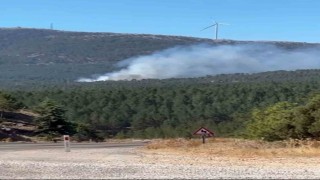 Menteşe Yılanlı dağında yangın ihbarı