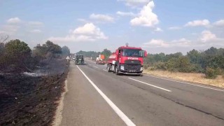 Meriçteki orman yangınında 20 hektar alan zarar gördü