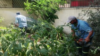 Mersin de park ve yeşil alanlarda bakım çalışmaları sürüyor