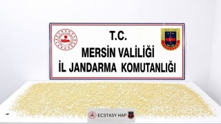Mersinde 3 bin 760 uyuşturucu hap ele geçirildi
