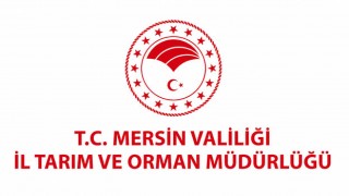 Mersin'de Gıda Denetiminde Şok: İki Üründe Tek Tırnaklı Eti