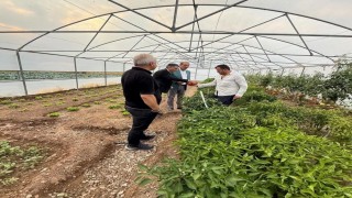 Milletvekili Ateş, doludan zarar gören Eko-Köyde çiftçileri ziyaret etti