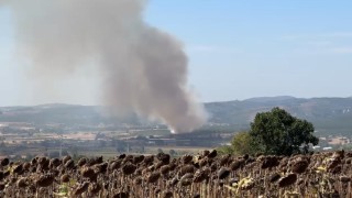 Mudanyada korkutan yangın: Havadan ve karadan müdahale ediliyor