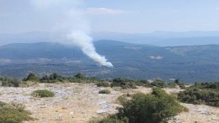 Muğlada orman yangını