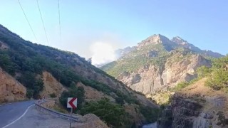 Munzur Vadisi Milli Parkında örtü altı yangınına müdahale sürüyor