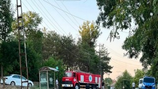 Muratlıda ağaçlık alanda çıkan yangın söndürüldü