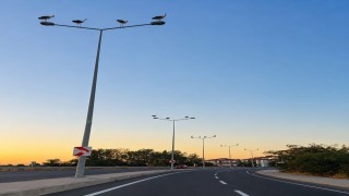 Muratlıda leylekler direkleri mesken tuttu