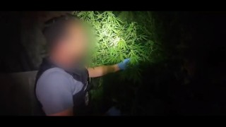 Niğdede uyuşturucu operasyonu: 1 şüpheli tutuklandı