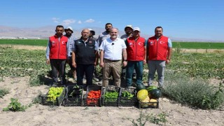 NÖHÜ'de 51 bin fideyle üretilen ürünlerin hasadı yapıldı