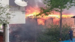 Orduda çatı katı yangınında 1 ton fındık küle döndü