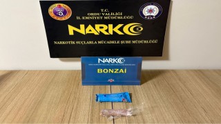 Orduda uyuşturucu operasyonlarında 2 tutuklama