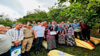 Orduda yaklaşık 1 ton fındık cami ihtiyaçları için toplandı