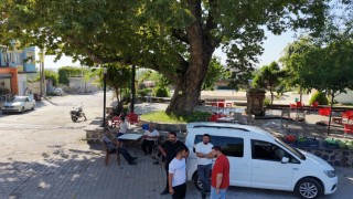 Osmaniyede 260 yıllık çınar yaz sıcağında doğal klima oluyor