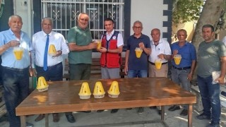 Osmaniye’de Akdeniz Meyve Sineğine Karşı Biyoteknik Mücadele Başladı
