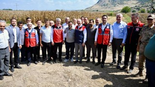 Osmaniye’de Mısır Hasat Töreni Düzenlendi