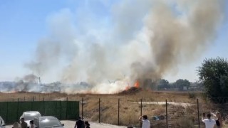 Otluk alanda çıkan yangın paniğe neden oldu