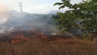 Otluk alandaki yangında meyve ağaçları zarar gördü