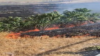 Otoban kenarında çıkan yangın söndürüldü