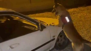 Otomobil kaputunda uyuşturucu sevkiyatına jandarma engeli