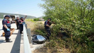 Otomobilin çarptığı bisikletli ağacın altında ölü bulundu, kaçan sürücü kısa sürede yakalandı