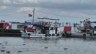 Palamut tezgaha erken gelecek