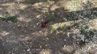 Parkta bir kişiyi döner bıçağıyla yaralayan saldırgan yakalandı