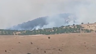 Pütürge'de orman ve örtü yangını