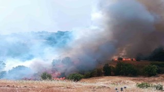 Pütürgede orman ve örtü yangınına havadan müdahale