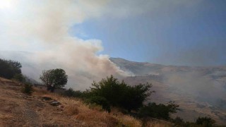 Pütürgedeki arazi yangınına müdahale sürüyor