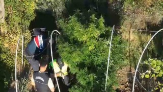 Sakaryada uyuşturucu ve kaçak alkol operasyonu: 2 tutuklama