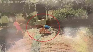Samsunda pitbull dehşeti: Küçük kızı yere savurdu, köpeğini ise ağır yaraladı