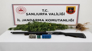 Şanlıurfada uyuşturucu madde ele geçirildi: 1 gözaltı