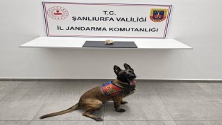 Şanlıurfada uyuşturucu operasyonu: 1 tutuklama