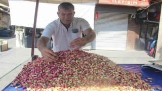 Şanlıurfada yeni mahsul fıstık tezgahlardaki yerini aldı